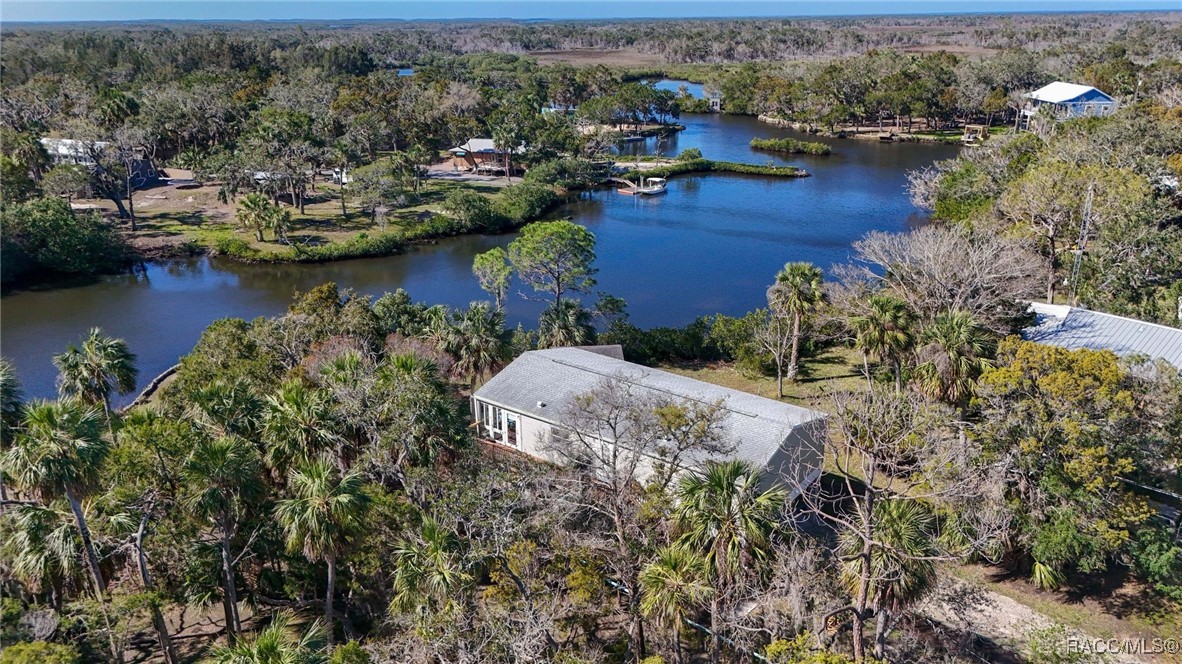 14596 W Black Creek Drive, Crystal River, Florida image 5