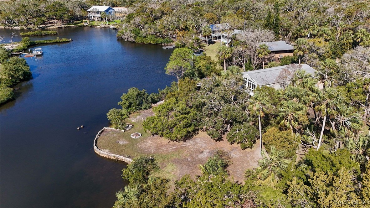 14596 W Black Creek Drive, Crystal River, Florida image 3