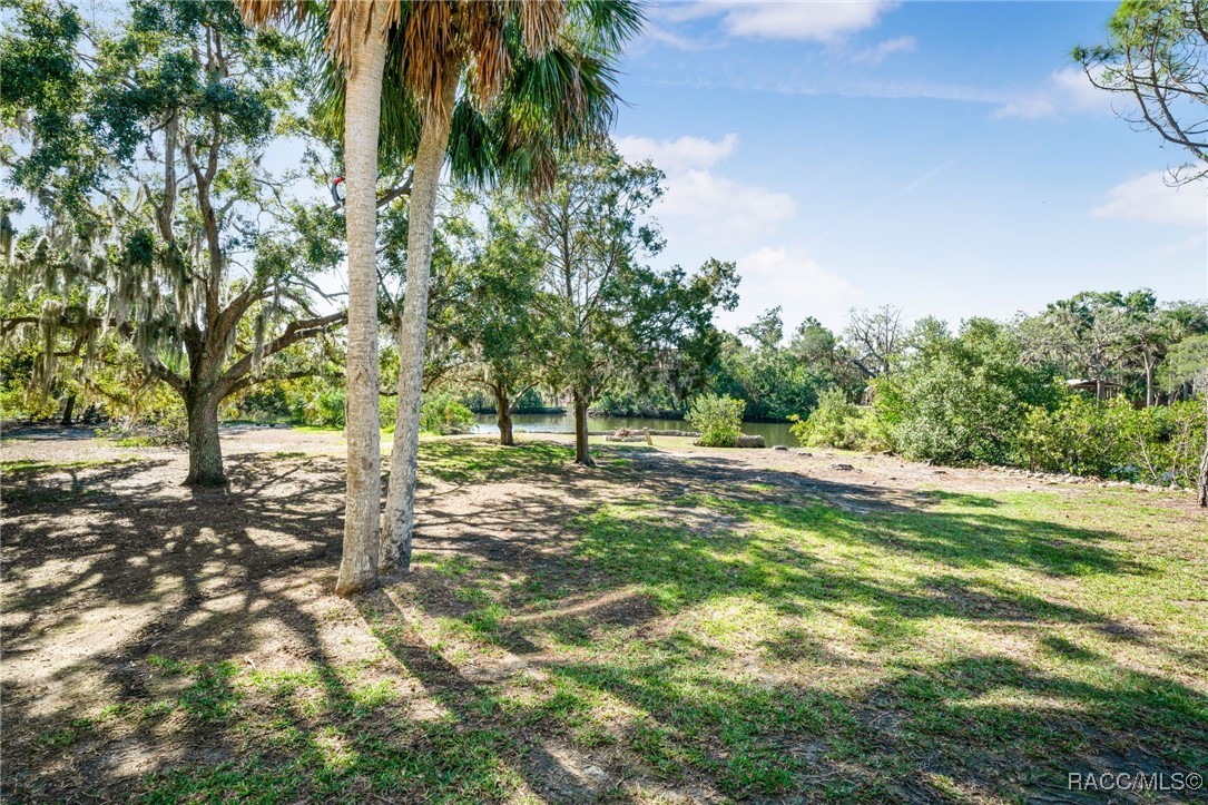 14596 W Black Creek Drive, Crystal River, Florida image 32