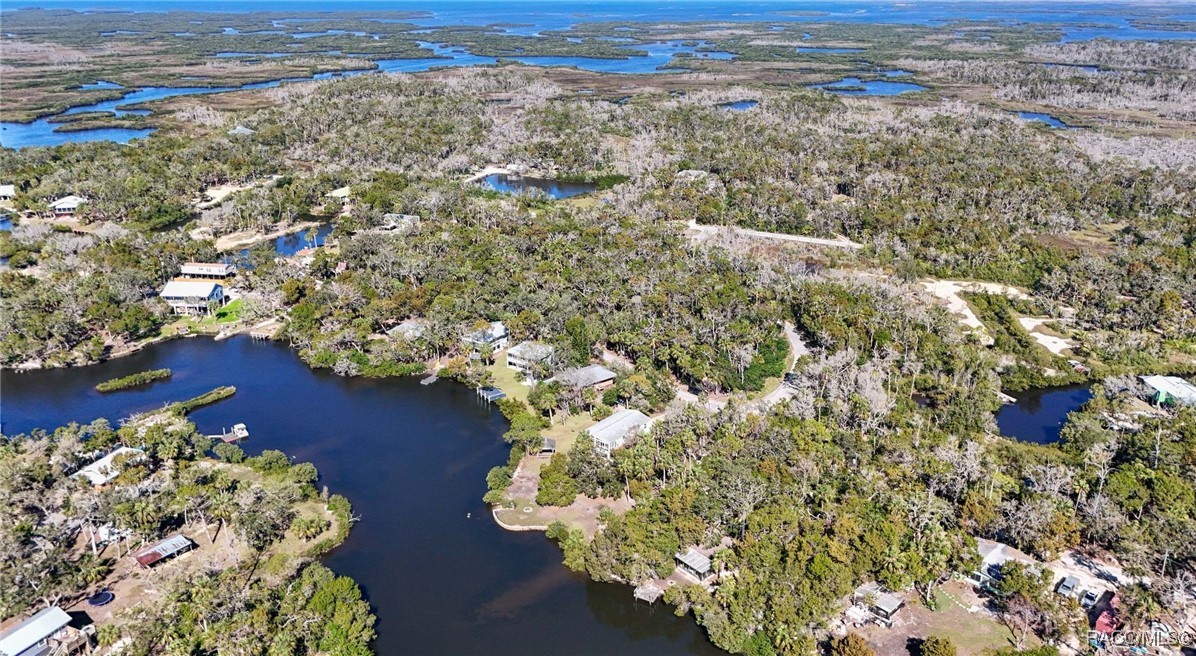 14596 W Black Creek Drive, Crystal River, Florida image 48