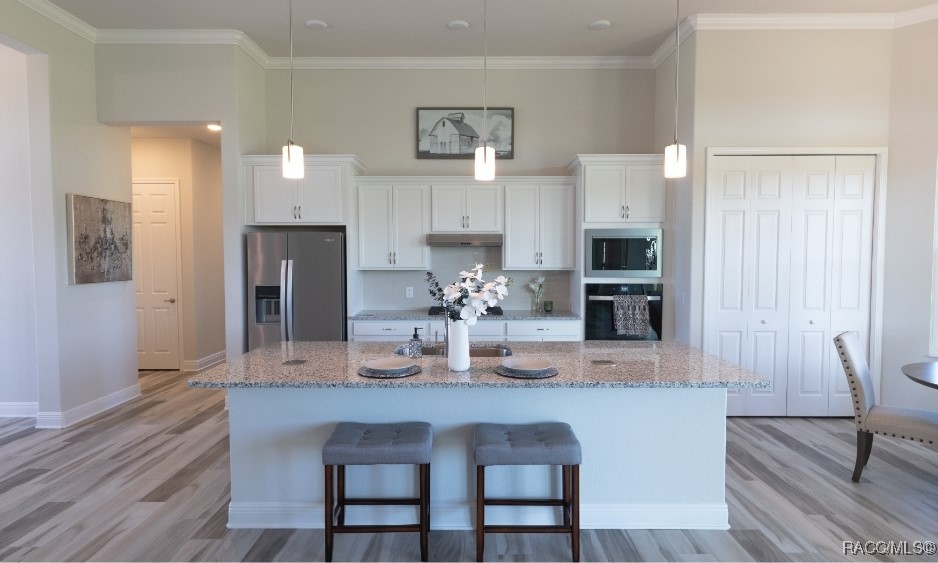 523 N Riva Ridge Path