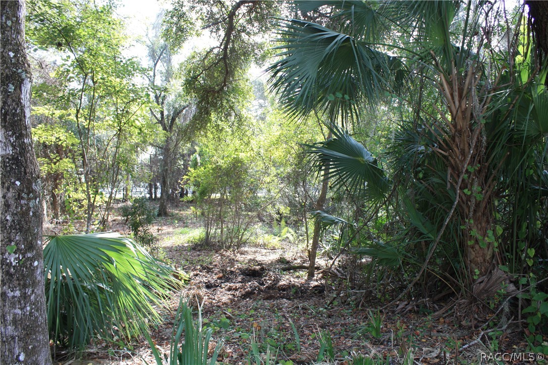 9249 W Ozello Trail, Crystal River, New York image 16
