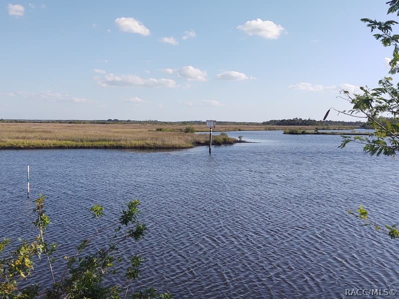 9249 W Ozello Trail, Crystal River, New York image 21