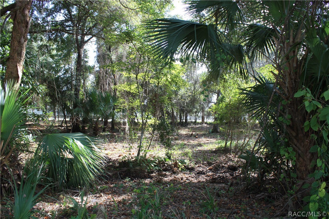 9249 W Ozello Trail, Crystal River, New York image 14