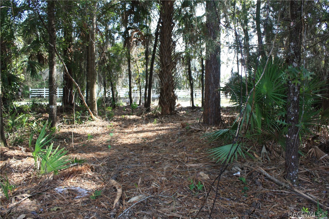 9249 W Ozello Trail, Crystal River, New York image 3