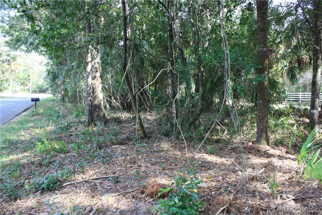 9249 W Ozello Trail, Crystal River, New York image 6