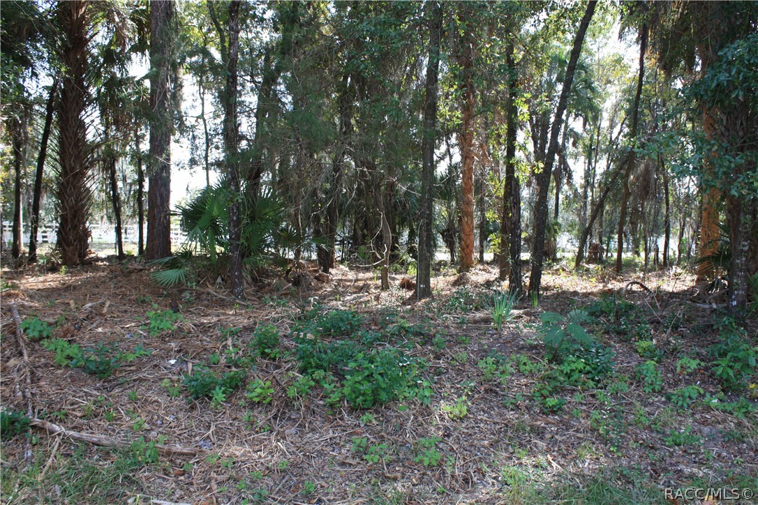 9249 W Ozello Trail, Crystal River, New York image 1