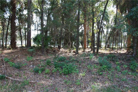 Vacant Land For Sale - 9249 W Ozello Trail<br/> Crystal River, FL 34429