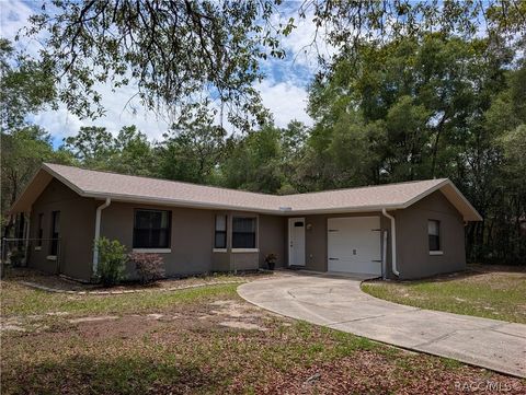 Homes For Sale - 1030 E Wacker Street<br/> Hernando, FL 34442