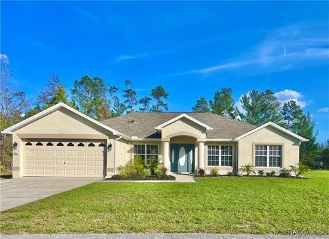 A home in Homosassa