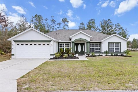 A home in Homosassa
