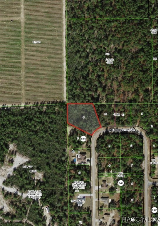 8959 N Farrington Drive #1C, Citrus Springs, New York image 9