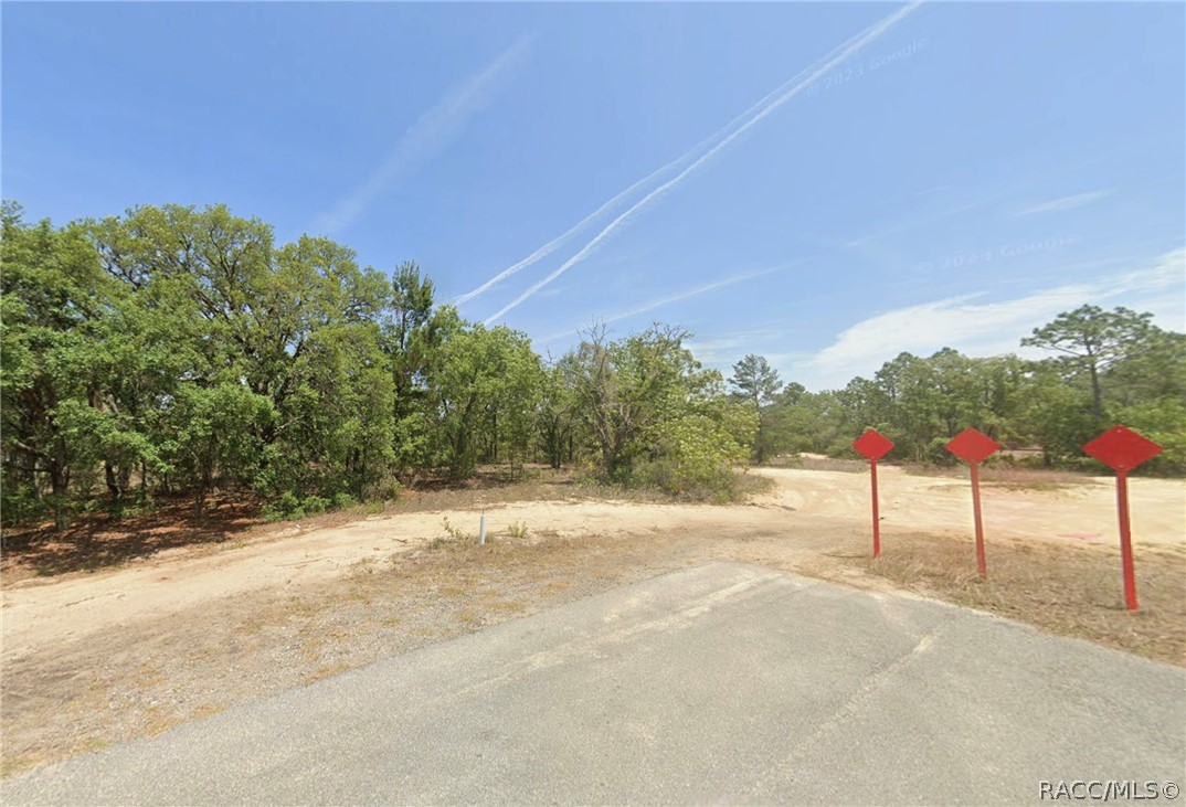10738 N Felt Terrace, Dunnellon, New York image 2
