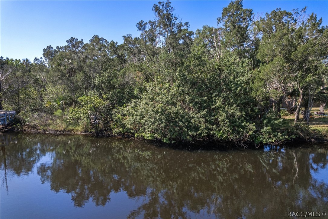 11681 W North Place, Homosassa, Florida image 9