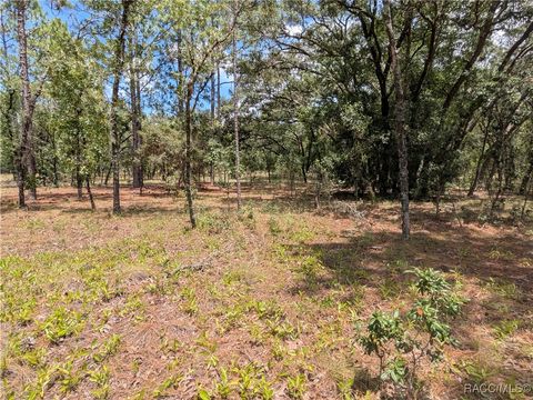 Vacant Land For Sale - 00 NW Ridgewood Road<br/> Dunnellon, FL 34431