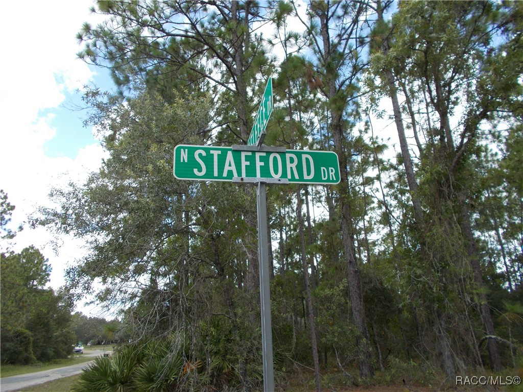 Citrus Springs, Florida 34434, United States, ,Land,Active,196098