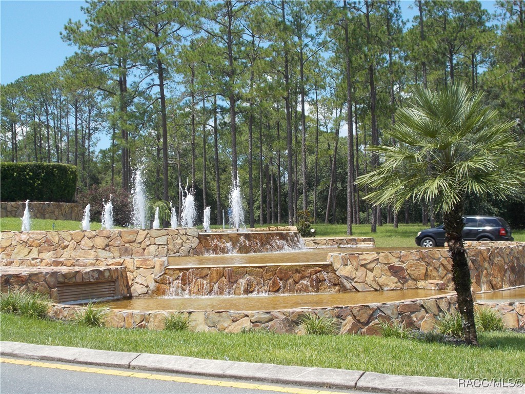 Citrus Springs, Florida 34434, United States, ,Land,Active,196098