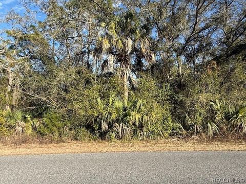 Vacant Land For Sale - 85 N West Avenue<br/> Inverness, FL 34453