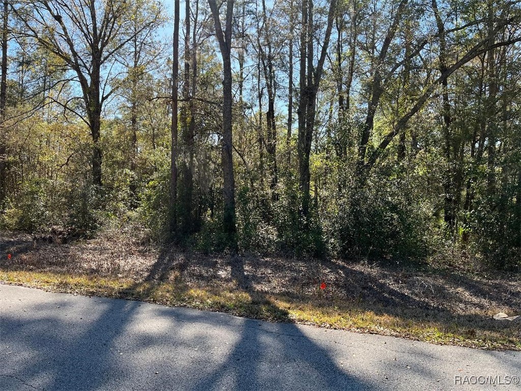 Lot 6 Westview Avenue, Dunnellon, Florida image 4