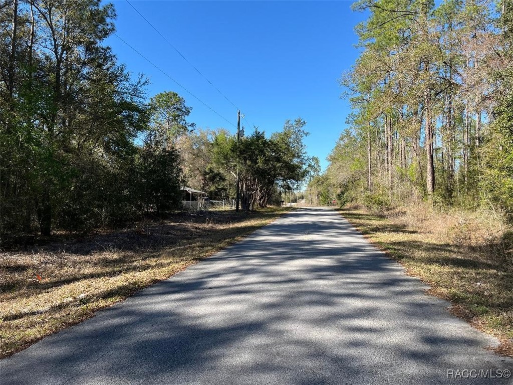 Lot 6 Westview Avenue, Dunnellon, Florida image 2
