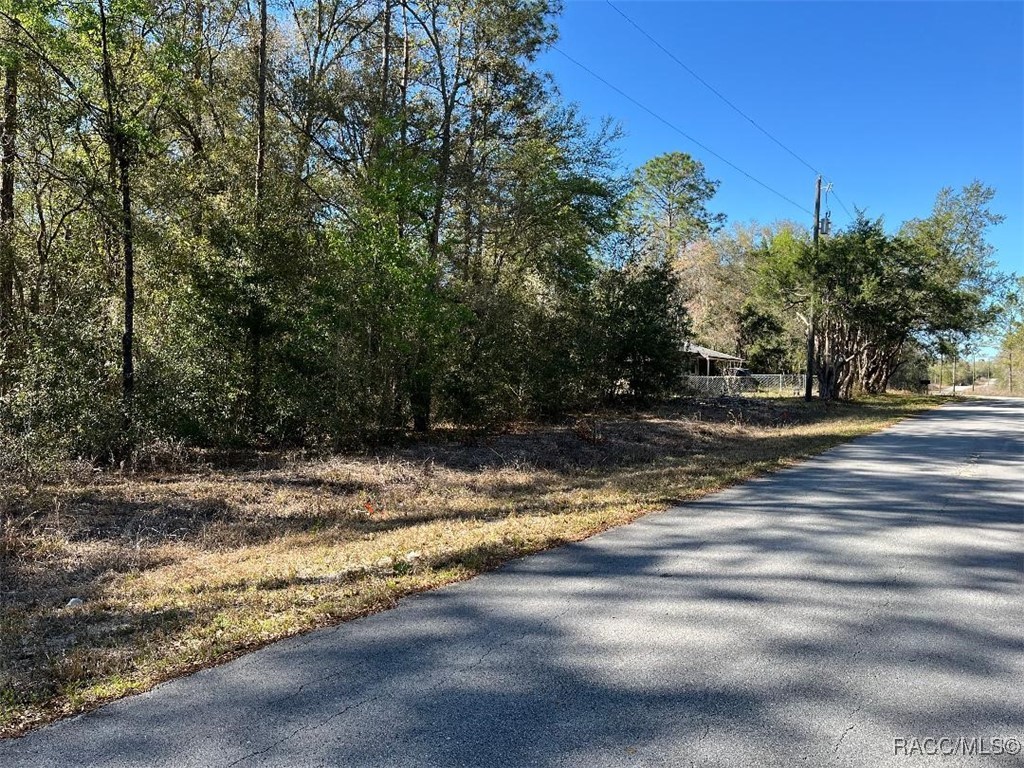 Lot 6 Westview Avenue, Dunnellon, Florida image 1