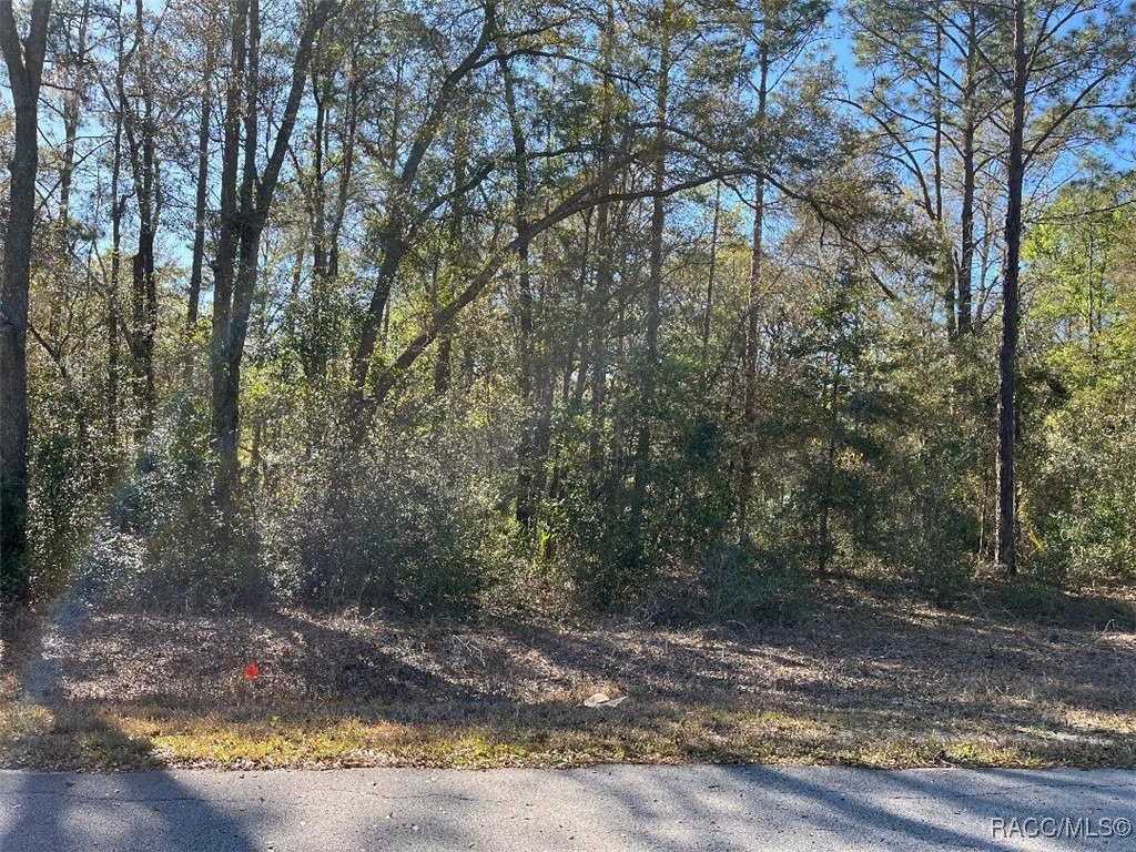 Lot 6 Westview Avenue, Dunnellon, Florida image 3