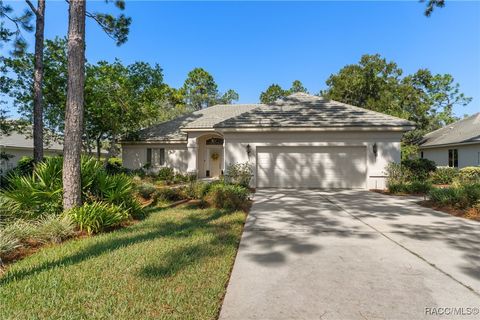 3824 N Baltusrol Path Lecanto FL 34461