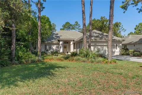 3824 N Baltusrol Path Lecanto FL 34461
