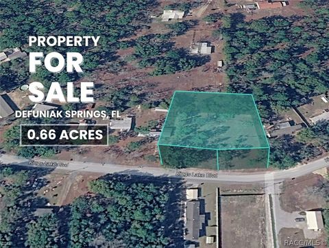 Vacant Land For Sale - 208 Kings Lake Boulevard<br/> Walton County, Defuniak Springs, FL 32433