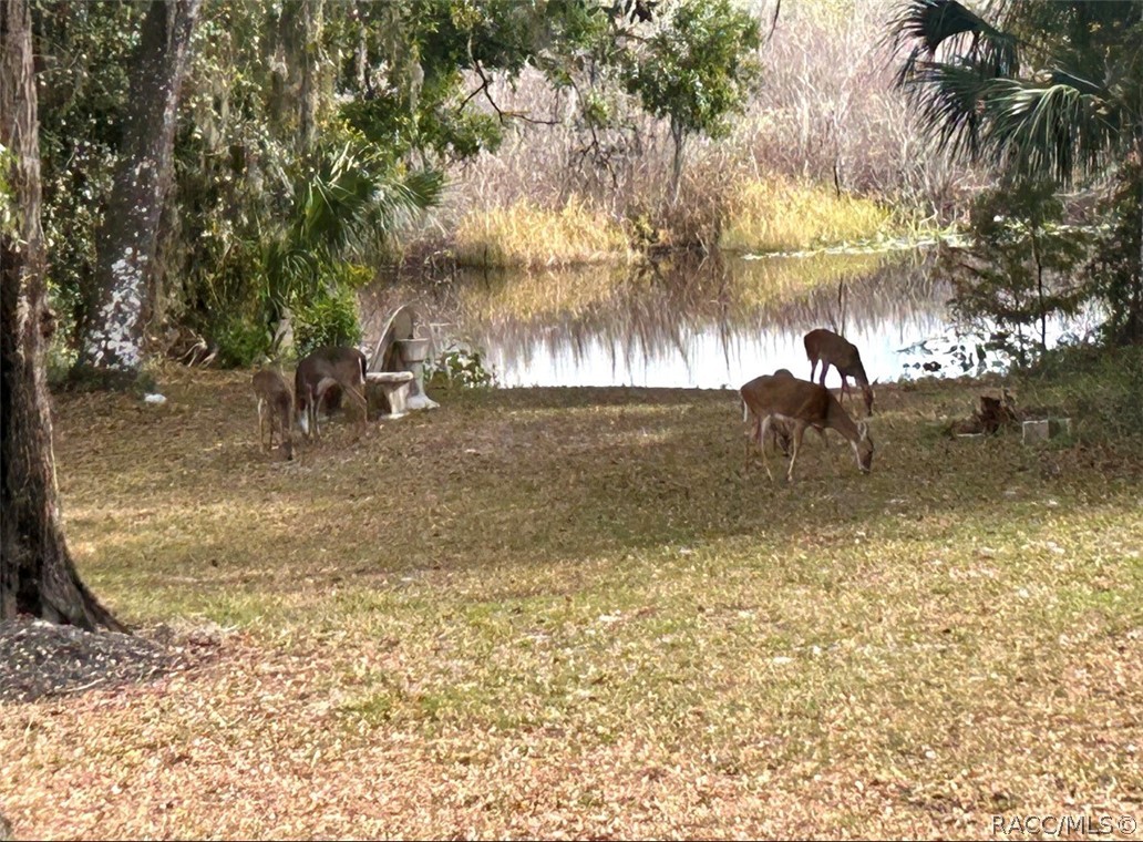 4185 S spaniel Trail