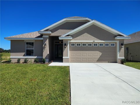 Homes For Sale - 1100 Heron  Pt Drive<br/> Inverness, FL 34453