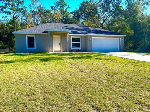 A home in Citrus Springs