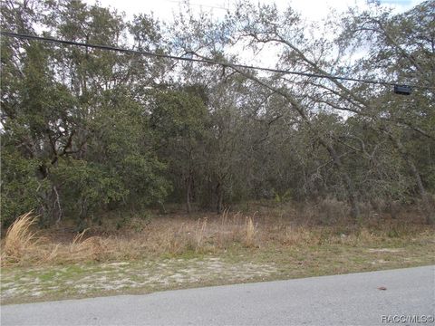 979 W PEARSON Street Hernando FL 34442