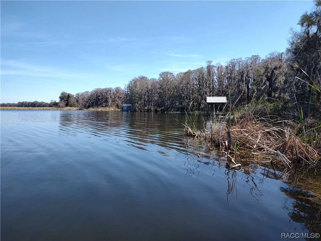 8601 W Bass Lake Road, Crystal River, Florida image 8