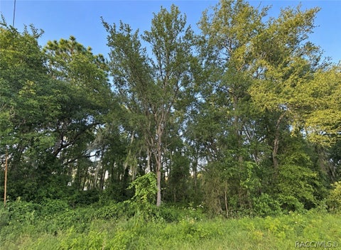 Vacant Land For Sale - 6831 E Glencoe Street<br/> Inverness, FL 34452