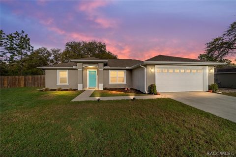 Homes For Sale - 3005 W Kirkwood Place<br/> Dunnellon, FL 34433