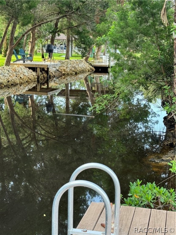 6237 S Pole Point, Homosassa, New York image 5