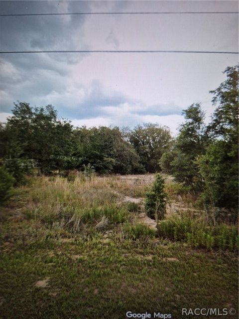 Vacant Land For Sale - 1791 E Colfax Neck<br/> Citrus County, Hernando, FL 34442