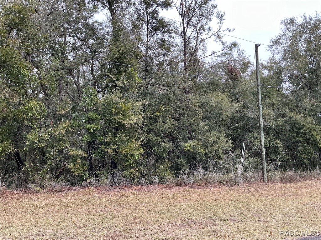 10135 N Athenia Drive, Citrus Springs, Florida image 3