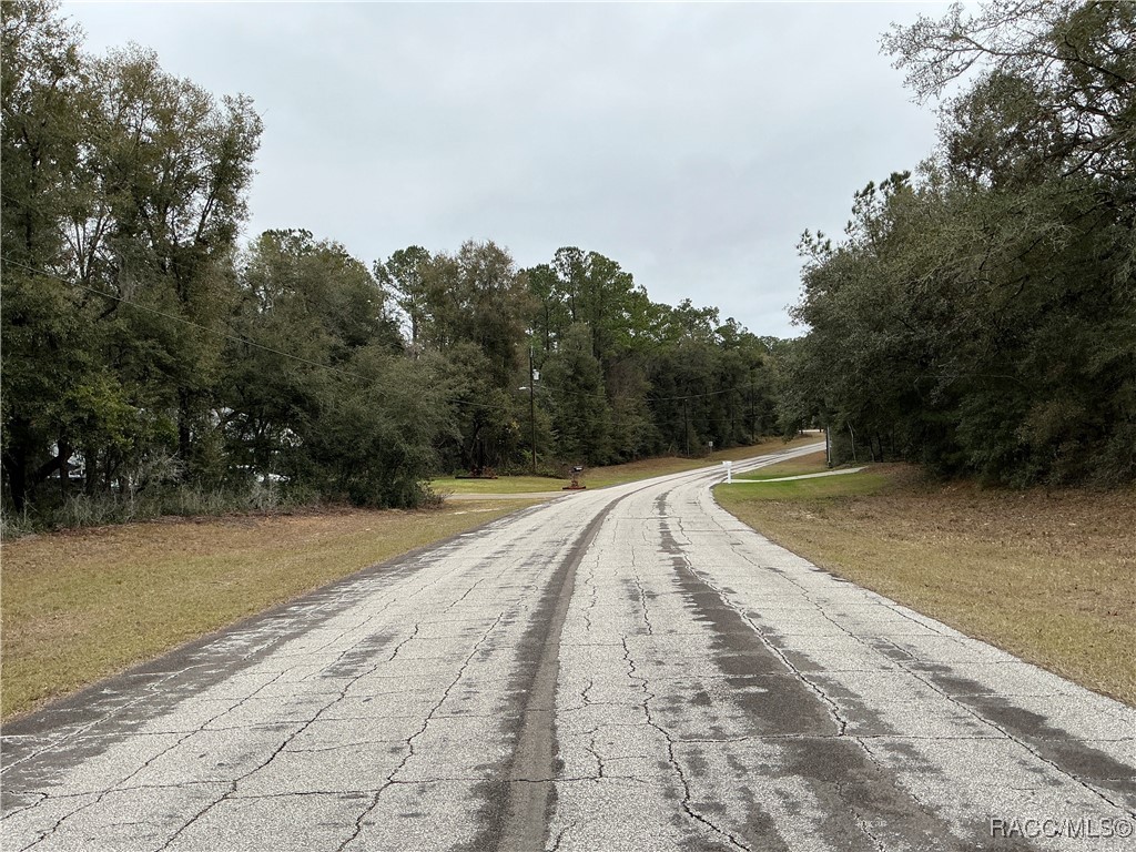 10135 N Athenia Drive, Citrus Springs, Florida image 4