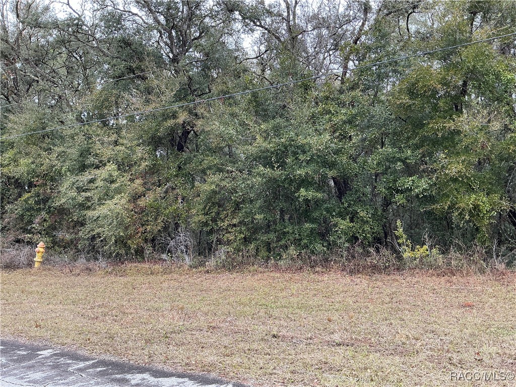 10135 N Athenia Drive, Citrus Springs, Florida image 2