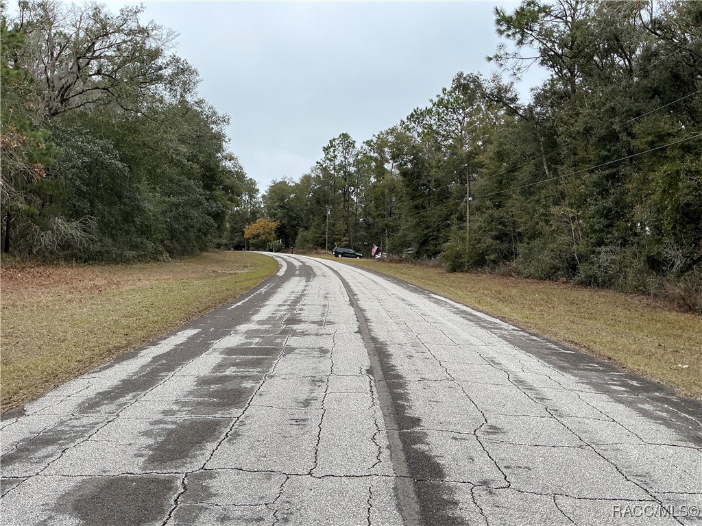 10135 N Athenia Drive, Citrus Springs, Florida image 5
