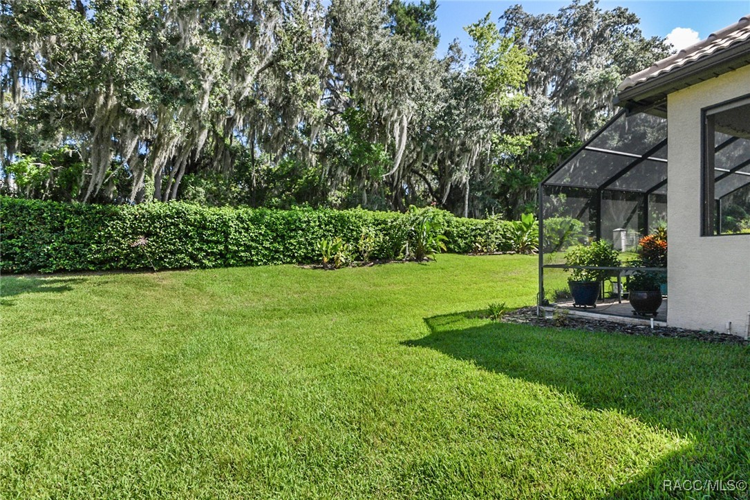 1040 W Beagle Run Loop, Hernando, Florida image 10