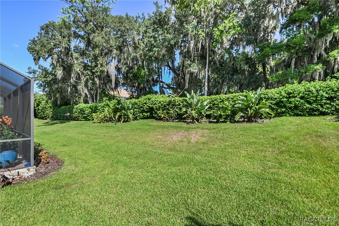 1040 W Beagle Run Loop, Hernando, Florida image 9