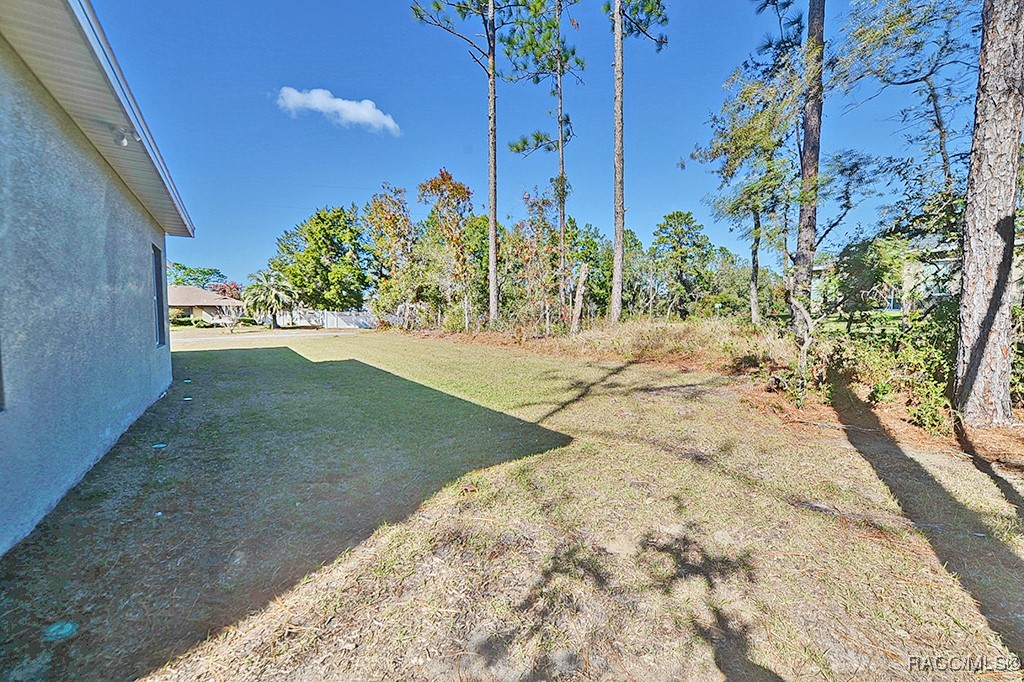 3439 W Cushion Drive, Citrus Springs, Florida image 37