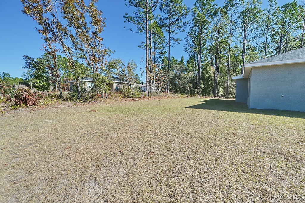 3439 W Cushion Drive, Citrus Springs, Florida image 33