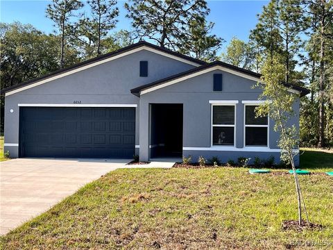 6652 N Bedstrow Boulevard Citrus Springs FL 34434
