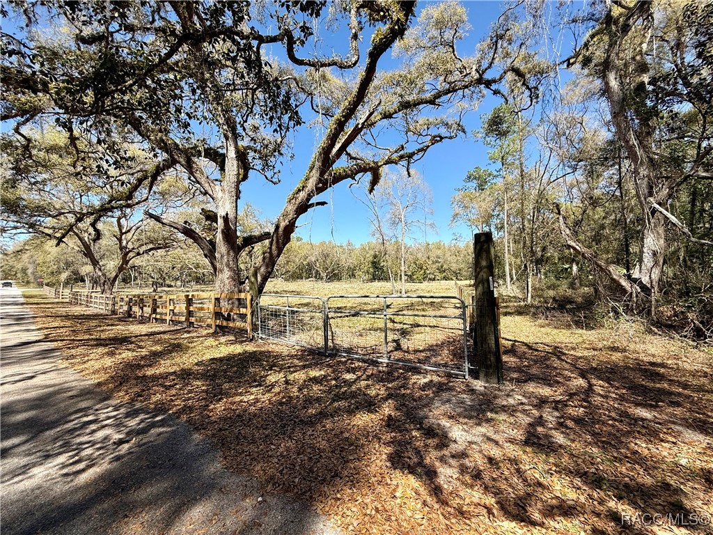 2172 E Dearborn Drive, Hernando, Florida image 3