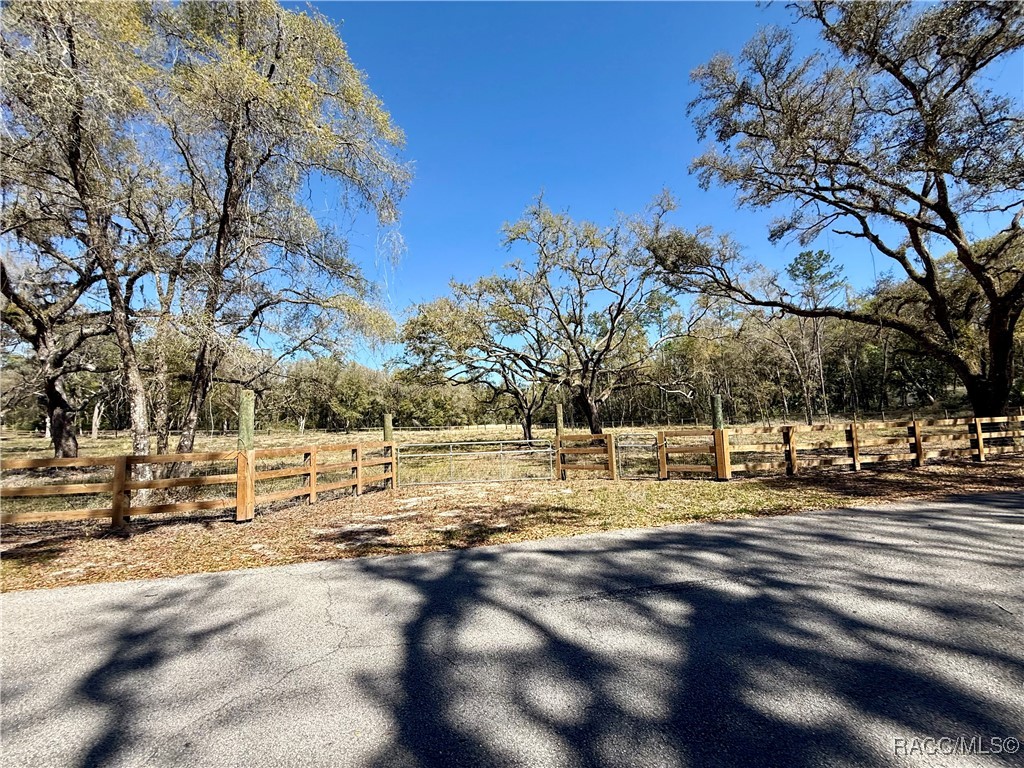 2172 E Dearborn Drive, Hernando, Florida image 2