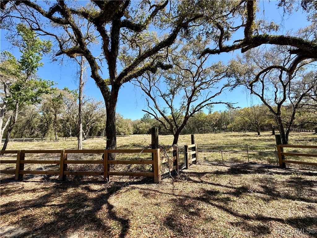 2172 E Dearborn Drive, Hernando, Florida image 5